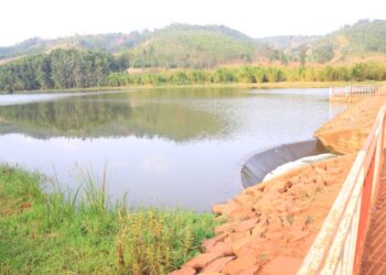Kirehe: Rice farmers and fish breeders report losses from Cyunuzi dam damage