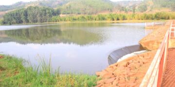 Kirehe: Rice farmers and fish breeders report losses from Cyunuzi dam damage