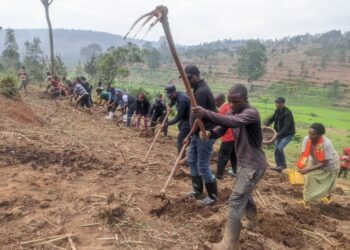 Farmers from Ngoma Still Unfamiliar with Crop Insurance