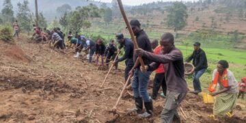 Farmers from Ngoma Still Unfamiliar with Crop Insurance