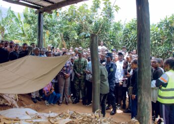 Youth urged to learn from the history of the Liberation War