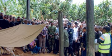 Youth urged to learn from the history of the Liberation War