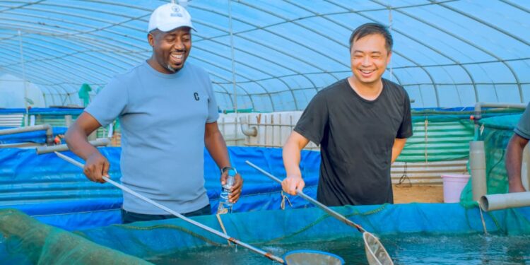 Ngoma district uses tanks in the fish farming projects