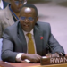 Rwanda Urges Equal Enforcement of International Law