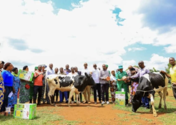 Kirehe: 90 Households Receive Cows under Girinka Programme
