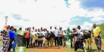 Kirehe: 90 Households Receive Cows under Girinka Programme
