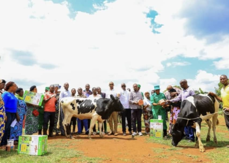 Kirehe: 90 Households Receive Cows under Girinka Programme