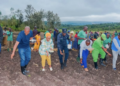 Gatsibo: Local Leaders Join Residents to Launch Season B Farming