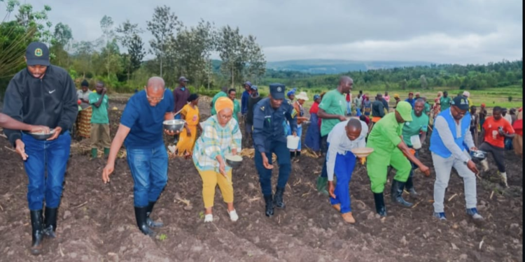 Gatsibo: Local Leaders Join Residents to Launch Season B Farming