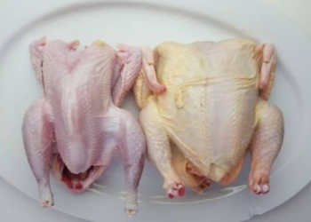 Rwandans Urged to Avoid Consuming Freshly Slaughtered Chicken