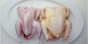 Rwandans Urged to Avoid Consuming Freshly Slaughtered Chicken