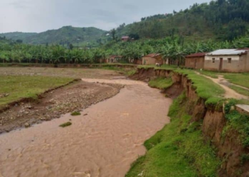 Karongi: Residents Fear Nyabahanga River as It Encroaches on Homes