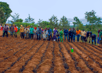 Ngoma: Farmers Urged to Use Modern Inputs and Crop Insurance