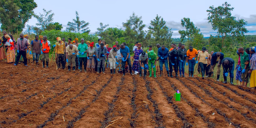 Ngoma: Farmers Urged to Use Modern Inputs and Crop Insurance