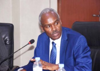 Rwanda Strengthens Grain Storage Plans as Senate Reviews Food Security Strategy