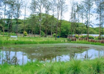 Nyagatare Urban Eco Park modern green space and internet connectivity