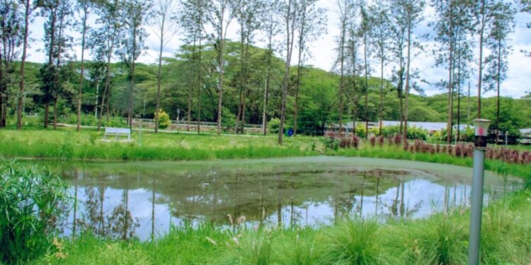 Nyagatare Urban Eco Park modern green space and internet connectivity