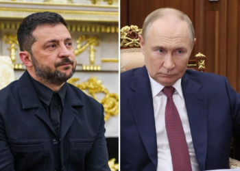 Putin and Zelensky meeting talks for peace
