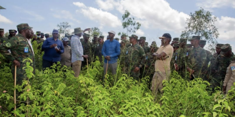 RDF Senior Command and Staff College Students Visit Kagitumba
