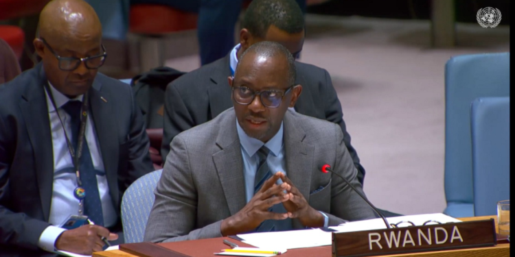 USA Urges DRC to Dismantle FDLR, Warns of Possible Sanctions