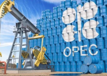 UAE Seeks Independent Energy Strategy