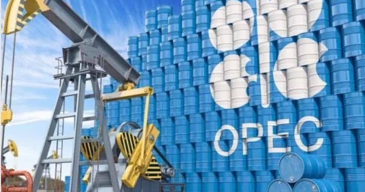 UAE Seeks Independent Energy Strategy