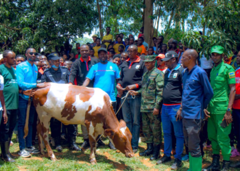 Ngoma: Youth Donate a Cow to a Hero of the Struggle to Stop the 1994 Genocide Against the Tutsi