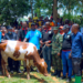 Ngoma: Youth Donate a Cow to a Hero of the Struggle to Stop the 1994 Genocide Against the Tutsi