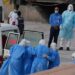 MV Hondius ship passengers under health monitor for Hantavirus.