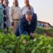 Nutritious School Meals in Rwanda PABRA Initiative