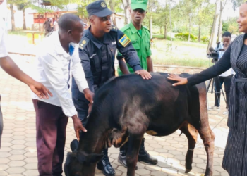 Nyagatare-Katabagemu: Village Leaders Top Performers donated cows