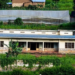 Interahamwe Militias Trained at Kabuga’s Home: Testimonies from His Former Neighbours