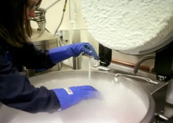 In Combating Infertility, Sperm Donation from Deceased Men Should Be Allowed