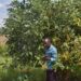 NGOMA: Growing Avocados Transforms Farmers’ Lives