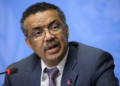 The WHO Warns That Malnutrition and Unsafe Food Are Harming African Children
