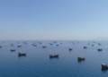 GLOBAL: Oil Prices Drop by 4%