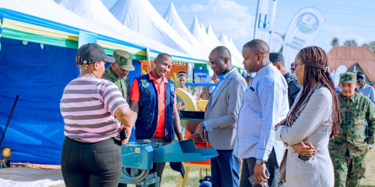 Nyagatare: Trade Fair Brings Together Businesses, Artists, and Public Services