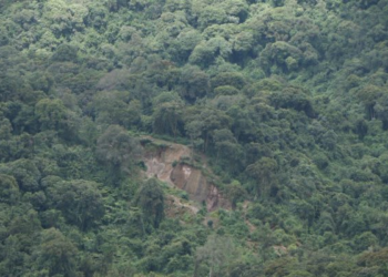 Rutsiro: Man Dies While Attempting to Steal Minerals