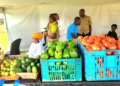 Kayonza Youth Discover the Secret to Success in Agriculture, Turn Their Focus to Farming