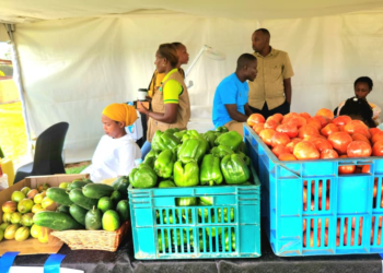 Kayonza Youth Discover the Secret to Success in Agriculture, Turn Their Focus to Farming