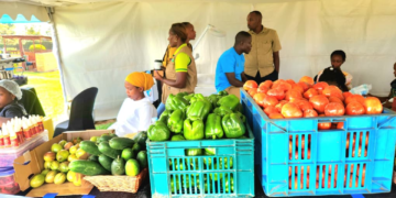 Kayonza Youth Discover the Secret to Success in Agriculture, Turn Their Focus to Farming