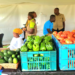 Kayonza Youth Discover the Secret to Success in Agriculture, Turn Their Focus to Farming