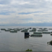 Rubavu: Fish Farming Attracts Rwf3 Billion Investment Over Nine Years