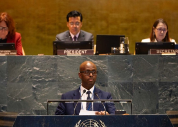 Strong Institutions and Effective Policies Are Key to Achieving SDGs