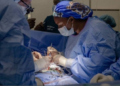 Rwanda Ends Overseas Referrals for Kidney Transplants as Local Services Expand