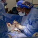 Rwanda Ends Overseas Referrals for Kidney Transplants as Local Services Expand