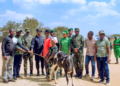 Nyagatare-Liberation32: Byuma Faustin Receives a Cow as a Symbol of Unity and Reconciliation