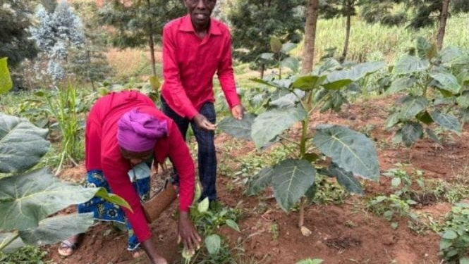 Rutsiro: Farmers Embrace Irrigation as Dry Season Farming Transforms Their Livelihoods