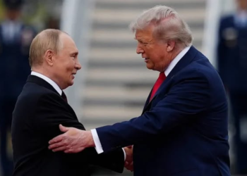 Trump Pledges Support to Putin in Search for Ukraine War Solution