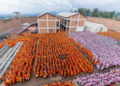 Rwanda Considers Reviewing Long Prison Sentences to Strengthen Rehabilitation